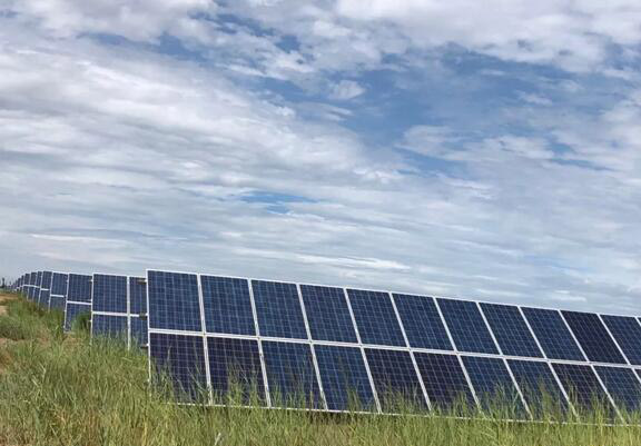 為什么光伏可以在新疆沙漠養魚